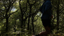 Trail Running