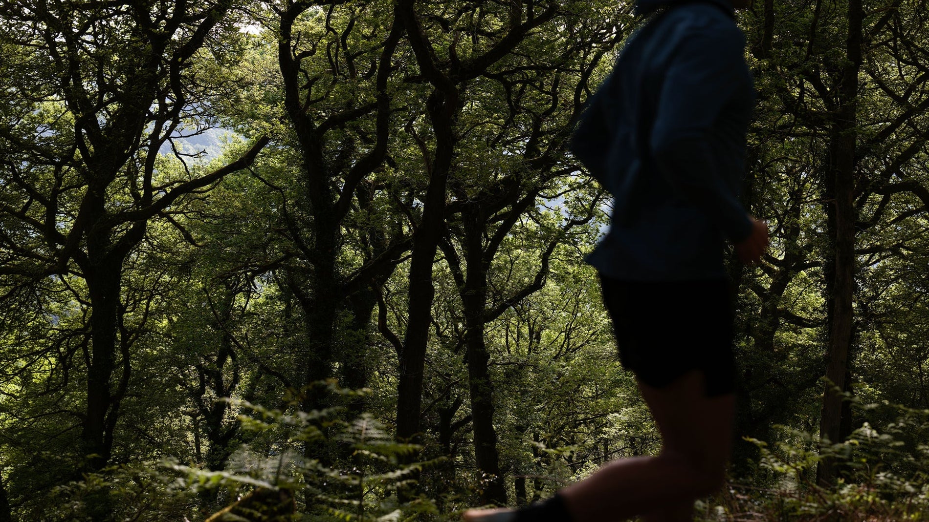 Trail Running