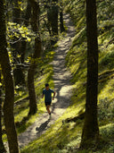 Featured Collection Trail